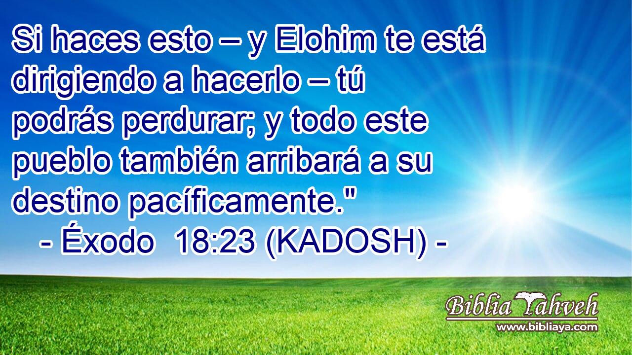  Si haces esto – y Elohim te está dirigiendo a hacerlo – tú podrás perdurar; y todo este pueblo también arribará a su destino pacíficamente.