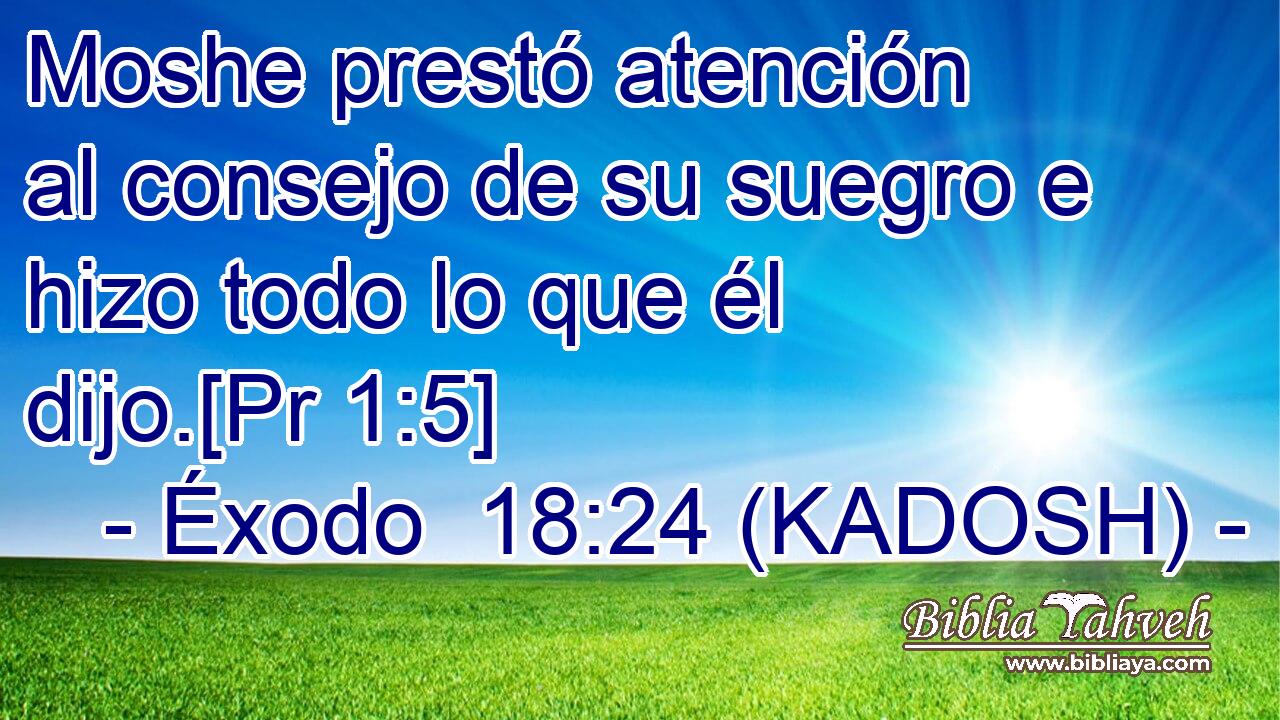  Moshe prestó atención al consejo de su suegro e hizo todo lo que él dijo.[Pr 1:5] 