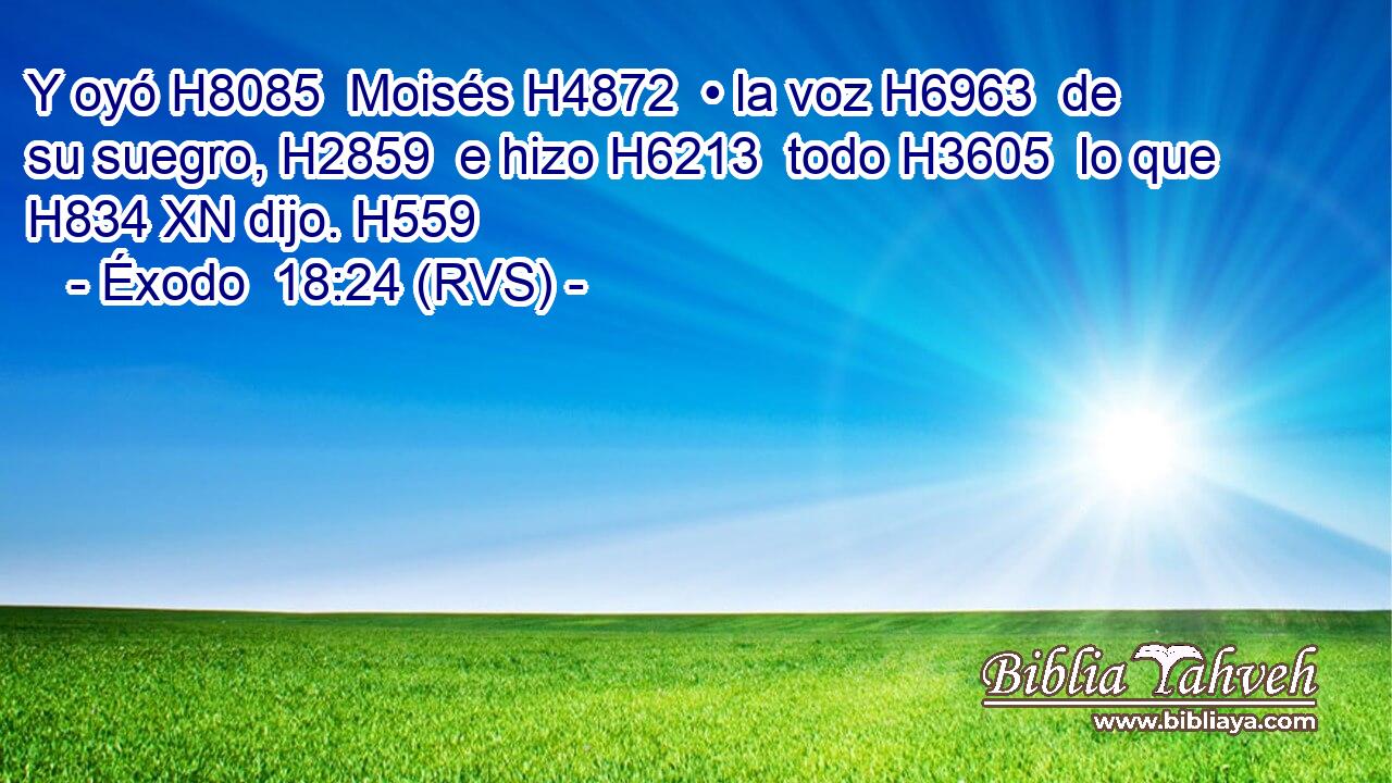Y oyó H8085  Moisés H4872  • la voz H6963  de su suegro, H2859  e hizo H6213  todo H3605  lo que H834 XN dijo. H559  