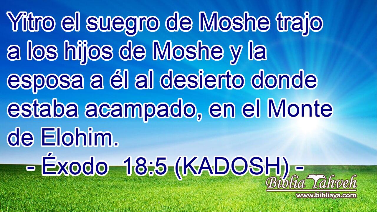 Yitro el suegro de Moshe trajo a los hijos de Moshe y la esposa a él al desierto donde estaba acampado, en el Monte de Elohim. 
