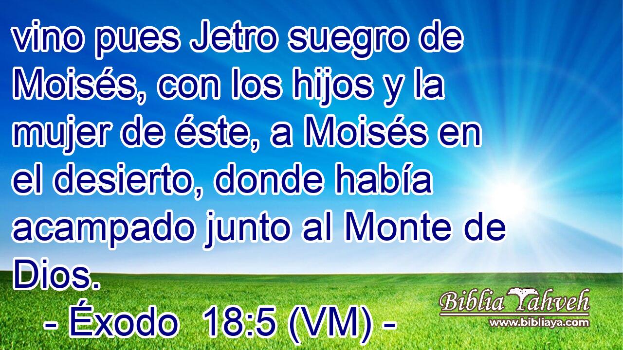  vino pues Jetro suegro de Moisés, con los hijos y la mujer de éste, a Moisés en el desierto, donde había acampado junto al Monte de Dios. 