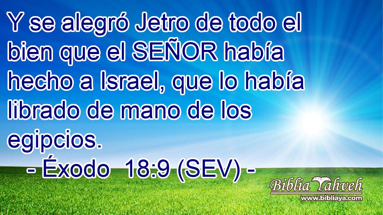 Y se alegró Jetro de todo el bien que el SEÑOR había hecho a Israel, que lo había librado de mano de los egipcios.