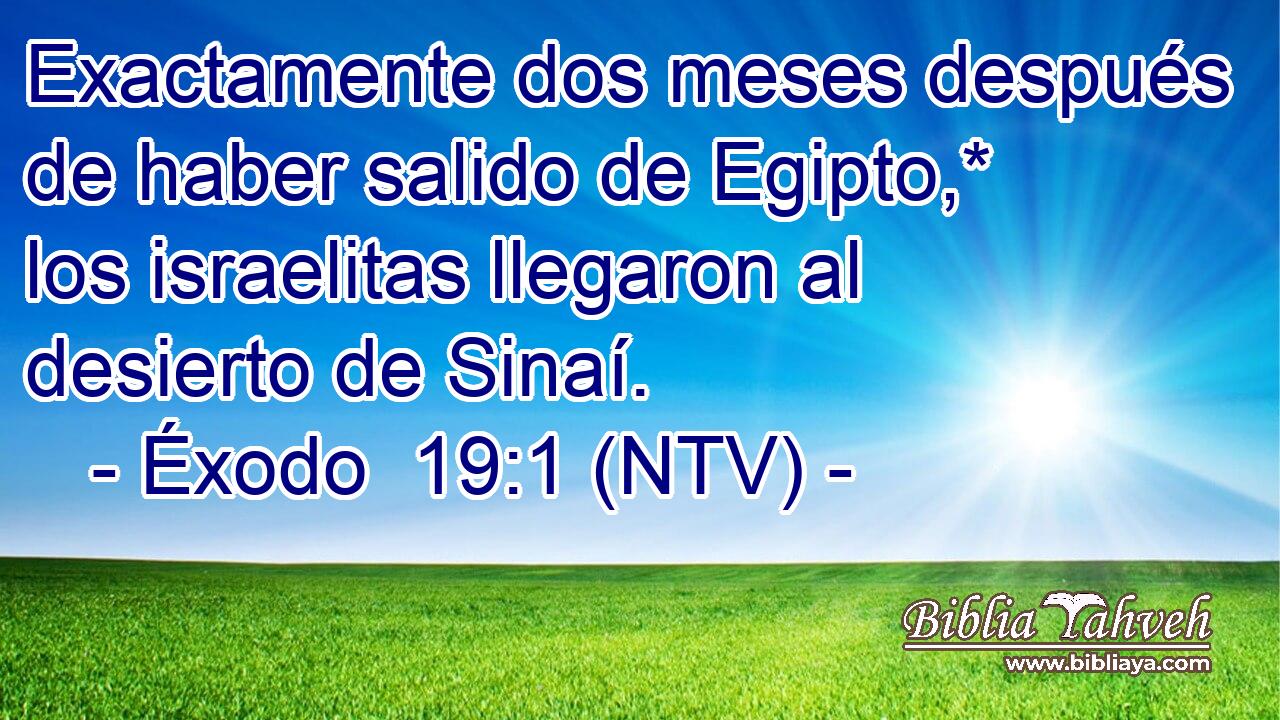Exactamente dos meses después de haber salido de Egipto,* los israelitas llegaron al desierto de Sinaí.