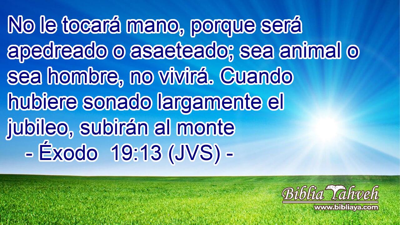 No le tocará mano, porque será apedreado o asaeteado; sea animal o sea hombre, no vivirá. Cuando hubiere sonado largamente el jubileo, subirán al monte