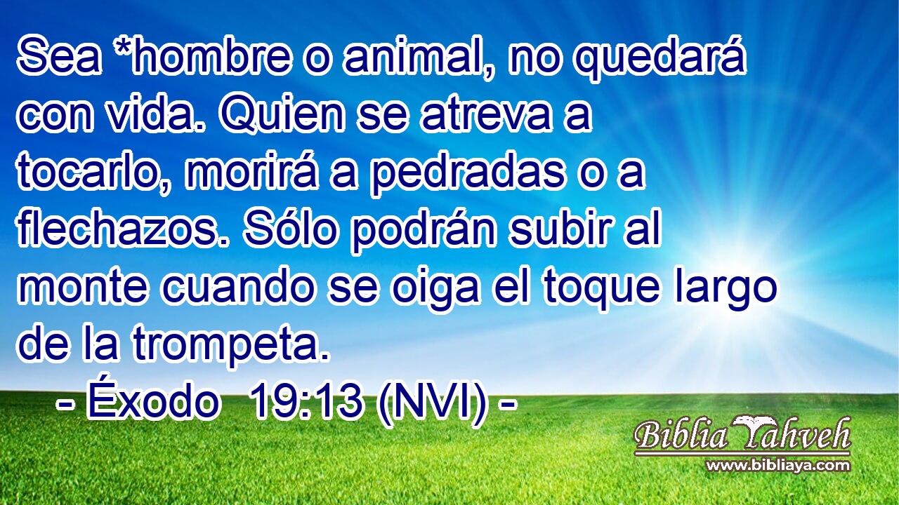  Sea *hombre o animal, no quedará con vida. Quien se atreva a tocarlo, morirá a pedradas o a flechazos. Sólo podrán subir al monte cuando se oiga el toque largo de la trompeta. 