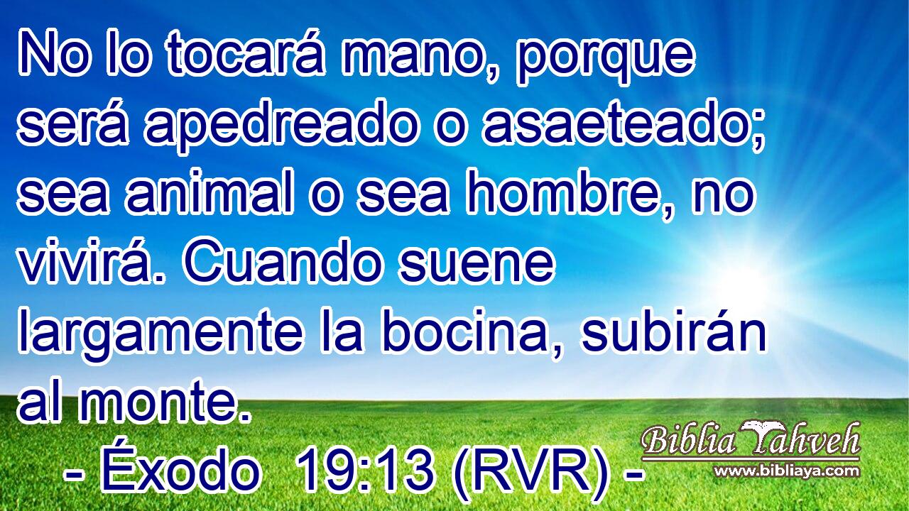 No lo tocará mano, porque será apedreado o asaeteado; sea animal o sea hombre, no vivirá. Cuando suene largamente la bocina, subirán al monte.