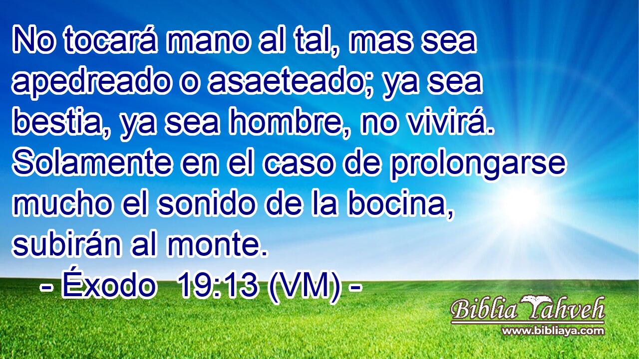  No tocará mano al tal, mas sea apedreado o asaeteado; ya sea bestia, ya sea hombre, no vivirá. Solamente en el caso de prolongarse mucho el sonido de la bocina, subirán al monte. 