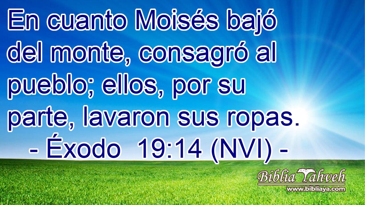  En cuanto Moisés bajó del monte, consagró al pueblo; ellos, por su parte, lavaron sus ropas. 