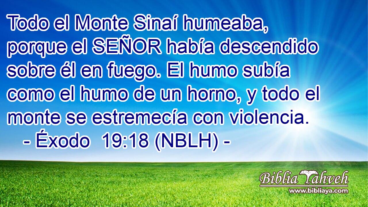  Todo el Monte Sinaí humeaba, porque el SEÑOR había descendido sobre él en fuego. El humo subía como el humo de un horno, y todo el monte se estremecía con violencia. 