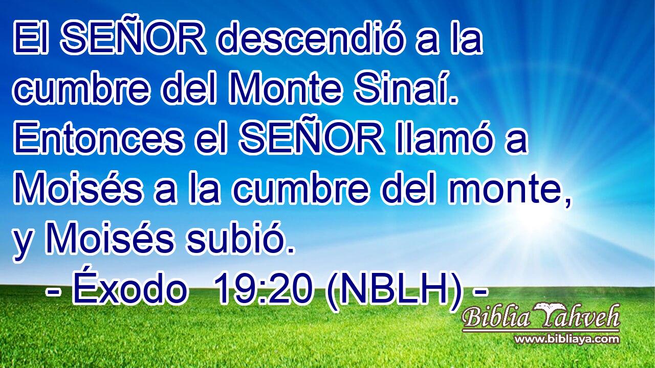  El SEÑOR descendió a la cumbre del Monte Sinaí. Entonces el SEÑOR llamó a Moisés a la cumbre del monte, y Moisés subió. 