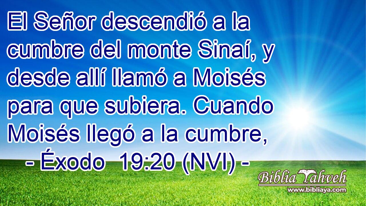  El Señor descendió a la cumbre del monte Sinaí, y desde allí llamó a Moisés para que subiera. Cuando Moisés llegó a la cumbre, 