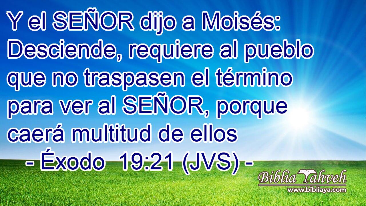 Y el SEÑOR dijo a Moisés: Desciende, requiere al pueblo que no traspasen el término para ver al SEÑOR, porque caerá multitud de ellos