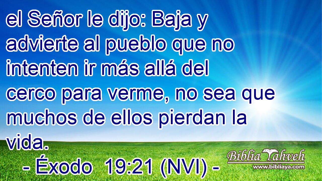  el Señor le dijo: Baja y advierte al pueblo que no intenten ir más allá del cerco para verme, no sea que muchos de ellos pierdan la vida. 