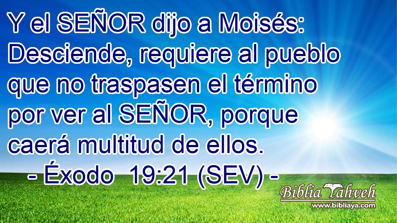 Y el SEÑOR dijo a Moisés: Desciende, requiere al pueblo que no traspasen el término por ver al SEÑOR, porque caerá multitud de ellos.