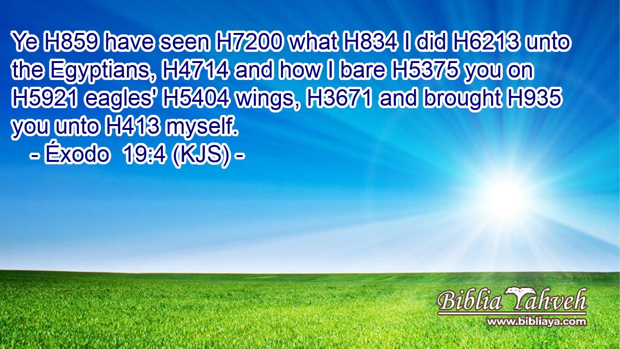 Ye H859 have seen H7200 what H834 I did H6213 unto the Egyptians, H4714 and how I bare H5375 you on H5921 eagles' H5404 wings, H3671 and brought H935 you unto H413 myself.