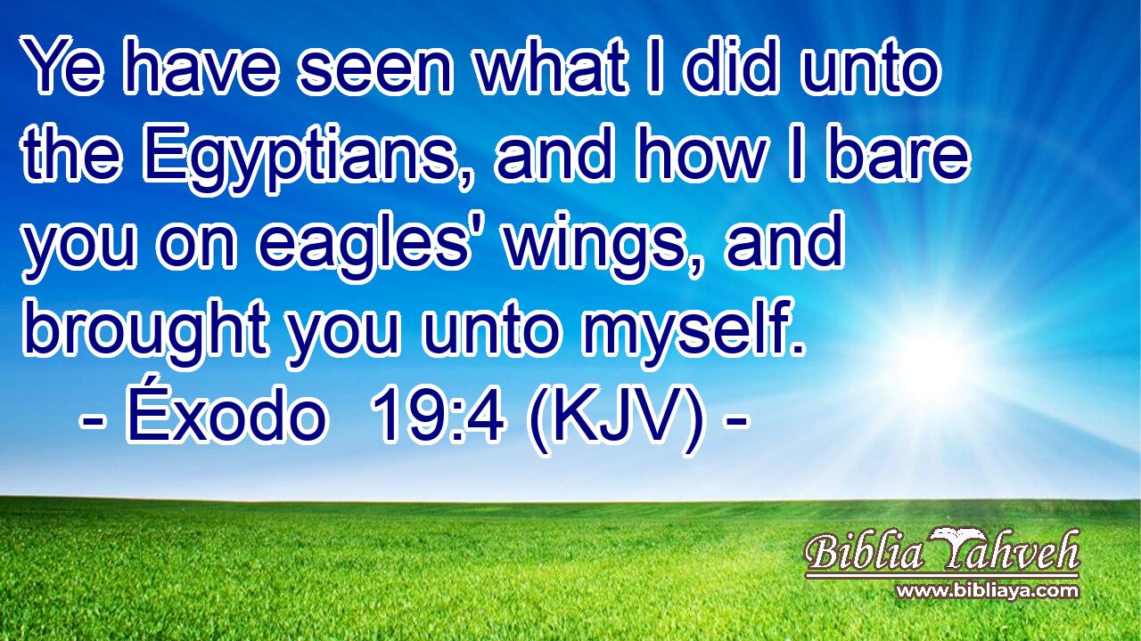 Ye have seen what I did unto the Egyptians, and how I bare you on eagles' wings, and brought you unto myself.