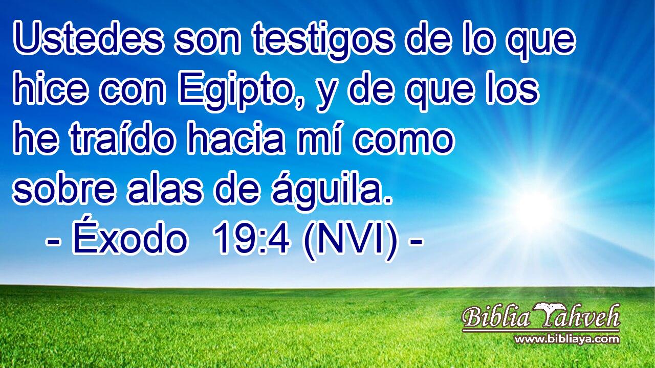 Éxodo 19:4 (NVI) - Ustedes son testigos de lo que hice con Egip...