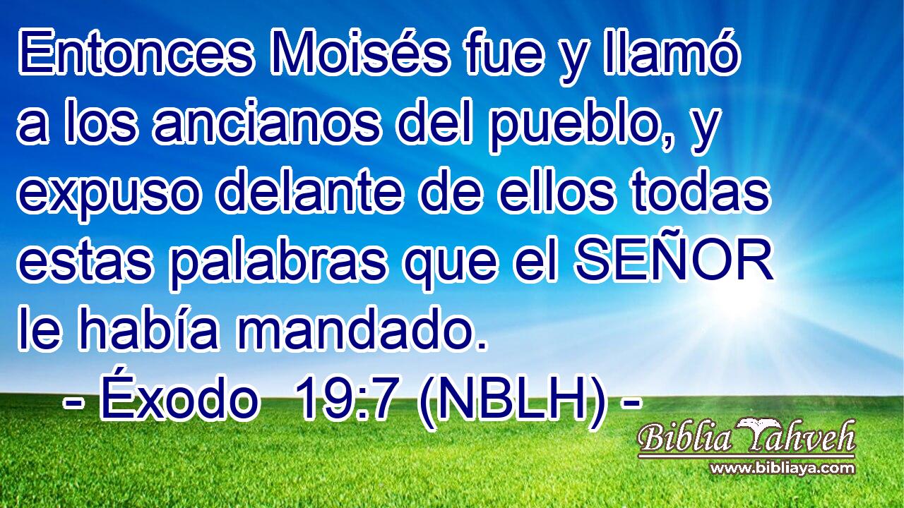  Entonces Moisés fue y llamó a los ancianos del pueblo, y expuso delante de ellos todas estas palabras que el SEÑOR le había mandado. 
