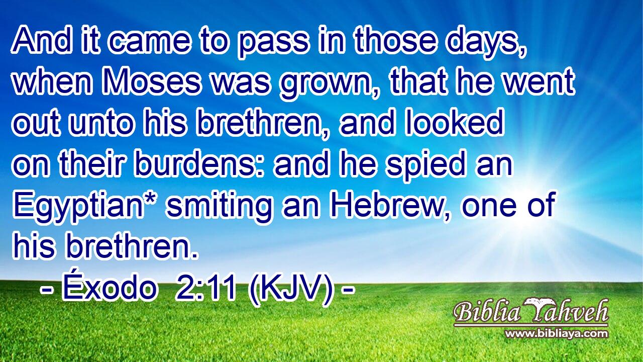 And it came to pass in those days, when Moses was grown, that he went out unto his brethren, and looked on their burdens: and he spied an Egyptian* smiting an Hebrew, one of his brethren.