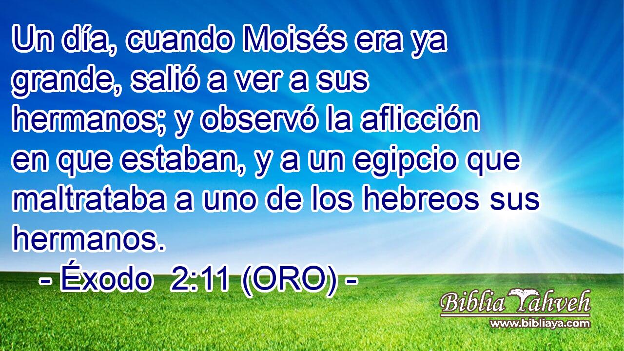  Un día, cuando Moisés era ya grande, salió a ver a sus hermanos; y observó la aflicción en que estaban, y a un egipcio que maltrataba a uno de los hebreos sus hermanos. 