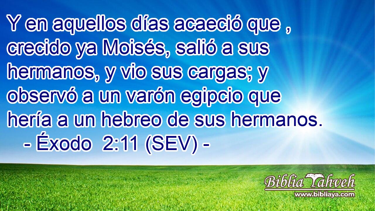 Y en aquellos días acaeció que , crecido ya Moisés, salió a sus hermanos, y vio sus cargas; y observó a un varón egipcio que hería a un hebreo de sus hermanos.