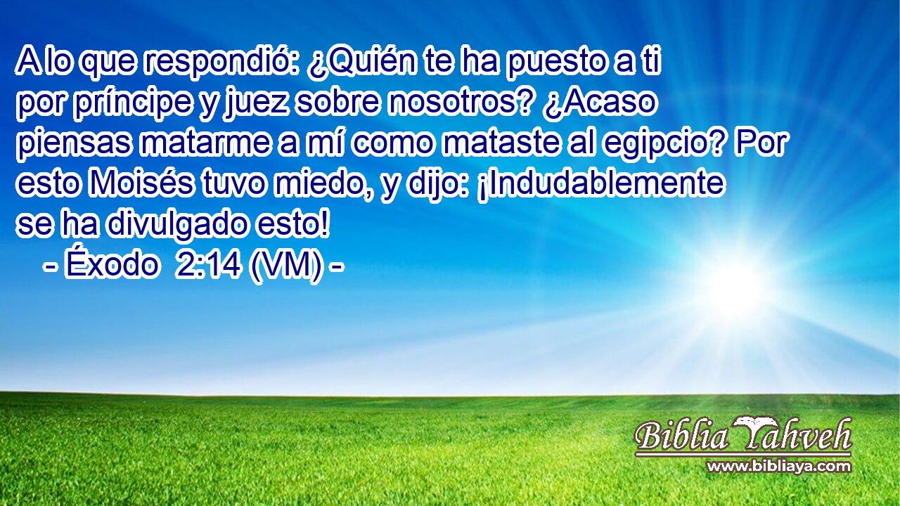  A lo que respondió: ¿Quién te ha puesto a ti por príncipe y juez sobre nosotros? ¿Acaso piensas matarme a mí como mataste al egipcio? Por esto Moisés tuvo miedo, y dijo: ¡Indudablemente se ha divulgado esto! 