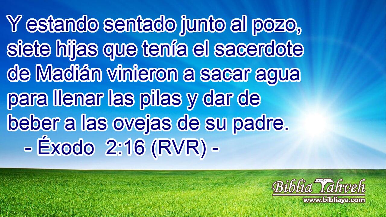 Y estando sentado junto al pozo, siete hijas que tenía el sacerdote de Madián vinieron a sacar agua para llenar las pilas y dar de beber a las ovejas de su padre.
