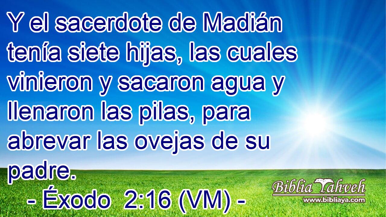  Y el sacerdote de Madián tenía siete hijas, las cuales vinieron y sacaron agua y llenaron las pilas, para abrevar las ovejas de su padre. 