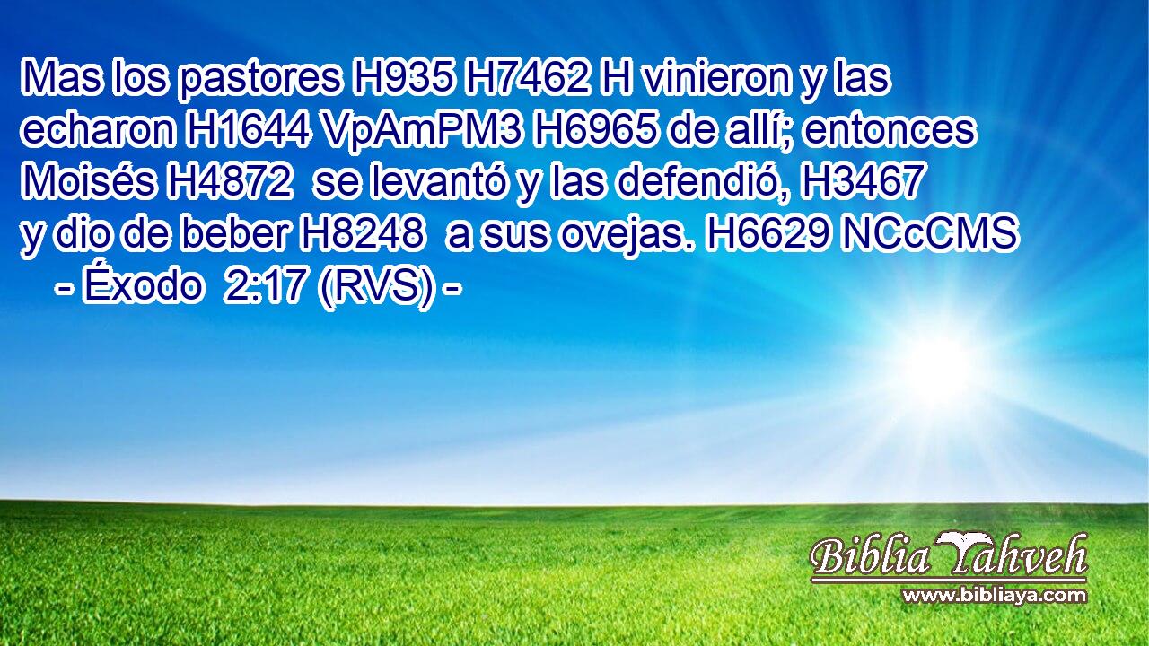 Mas los pastores H935 H7462 H vinieron y las echaron H1644 VpAmPM3 H6965 de allí; entonces Moisés H4872  se levantó y las defendió, H3467  y dio de beber H8248  a sus ovejas. H6629 NCcCMS 