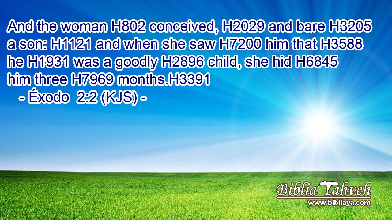 And the woman H802 conceived, H2029 and bare H3205 a son: H1121 and when she saw H7200 him that H3588 he H1931 was a goodly H2896 child, she hid H6845 him three H7969 months.H3391