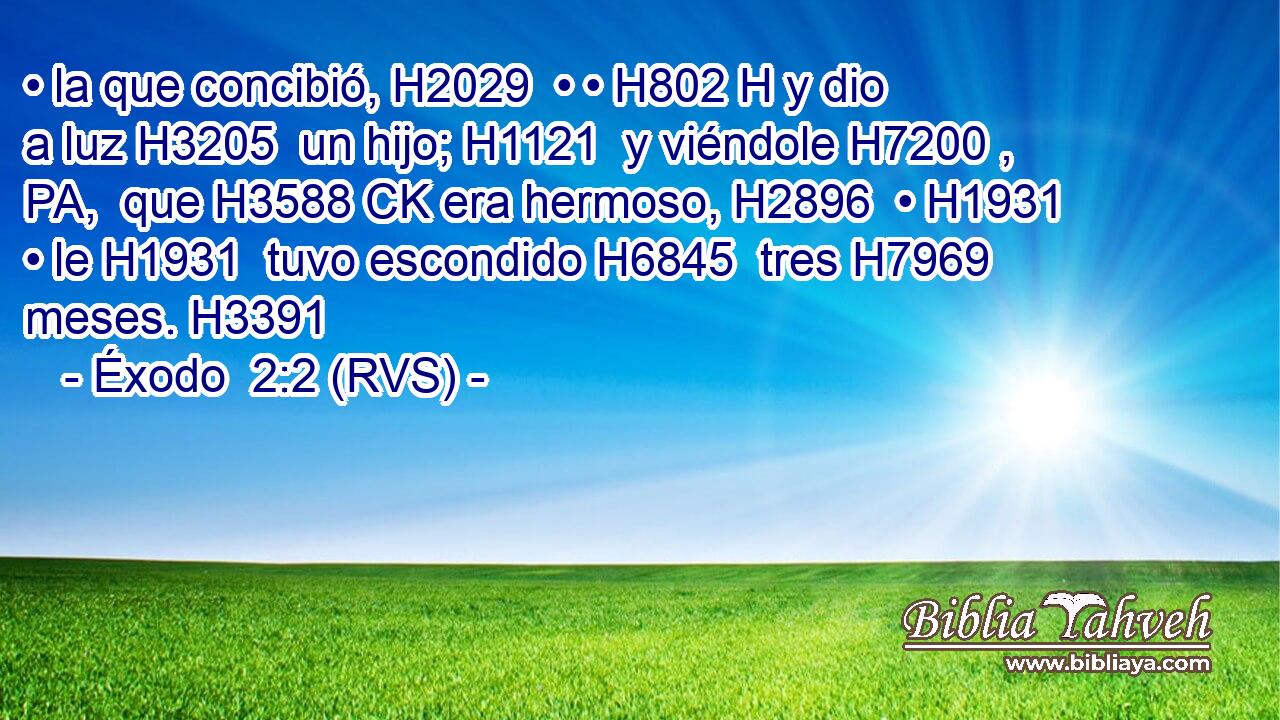 • la que concibió, H2029  • • H802 H y dio a luz H3205  un hijo; H1121  y viéndole H7200 , PA,  que H3588 CK era hermoso, H2896  • H1931  • le H1931  tuvo escondido H6845  tres H7969  meses. H3391  