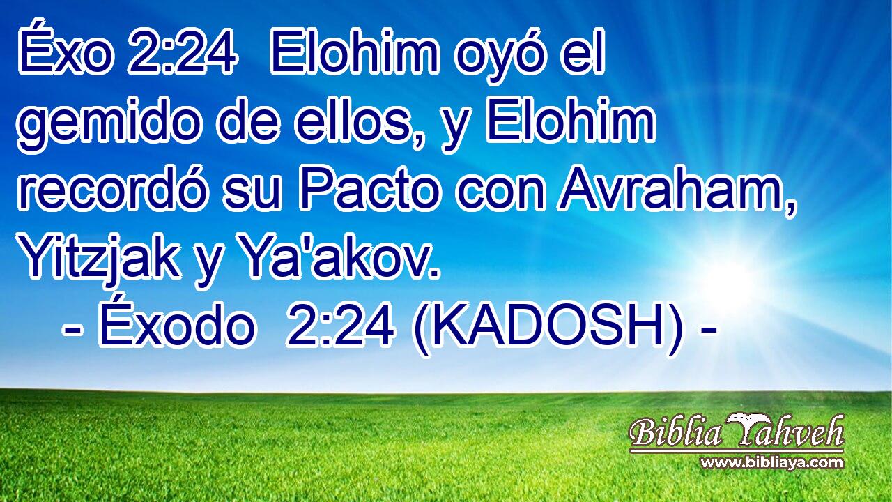 Elohim oyó el gemido de ellos, y Elohim recordó su Pacto con Avraham, Yitzjak y Ya'akov. 