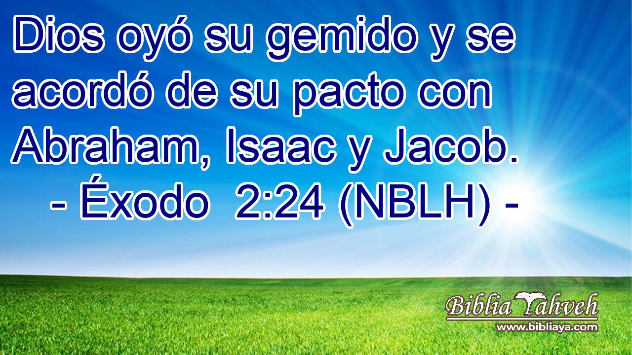  Dios oyó su gemido y se acordó de su pacto con Abraham, Isaac y Jacob. 