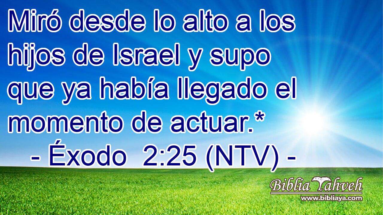 Miró desde lo alto a los hijos de Israel y supo que ya había llegado el momento de actuar.*