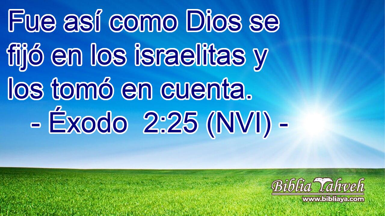  Fue así como Dios se fijó en los israelitas y los tomó en cuenta. 