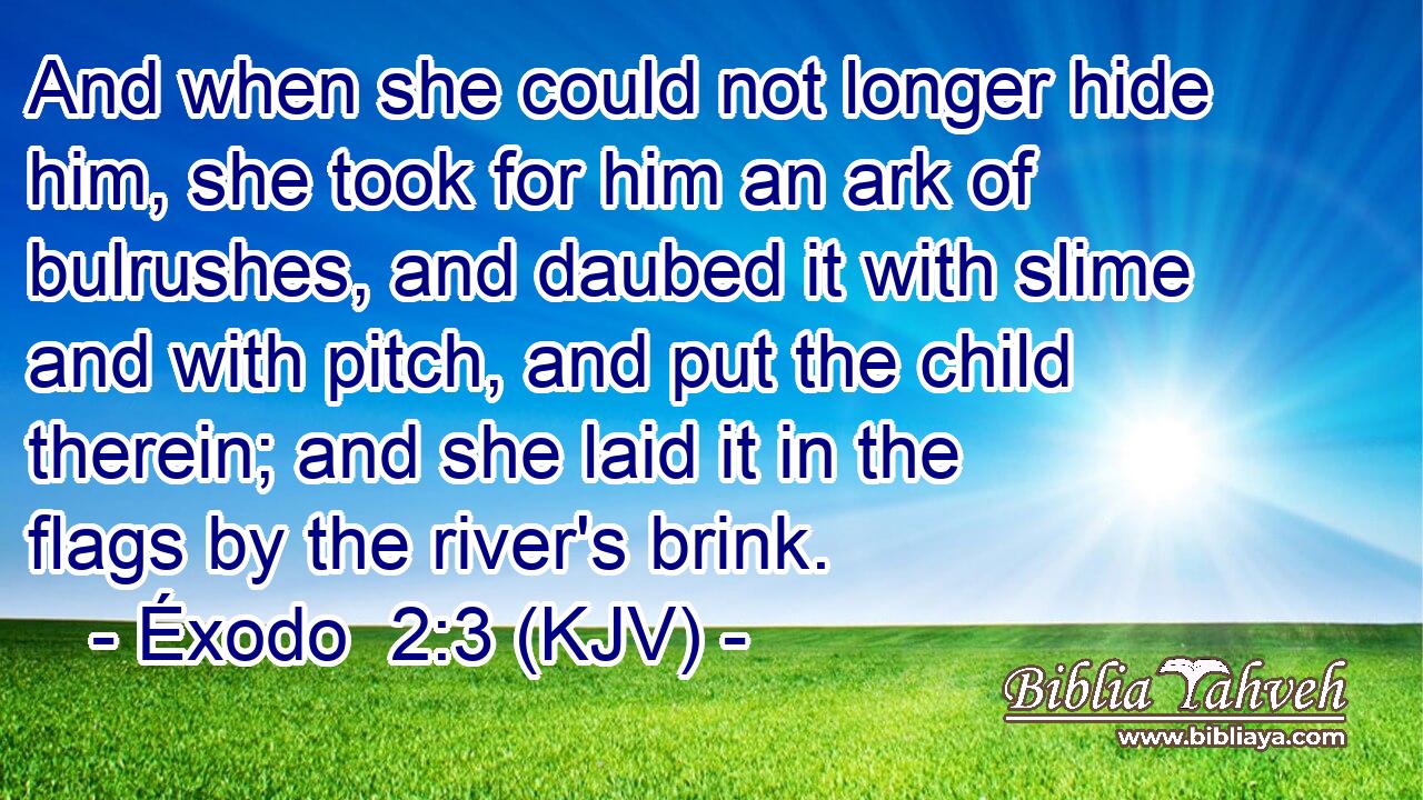 And when she could not longer hide him, she took for him an ark of bulrushes, and daubed it with slime and with pitch, and put the child therein; and she laid it in the flags by the river's brink.