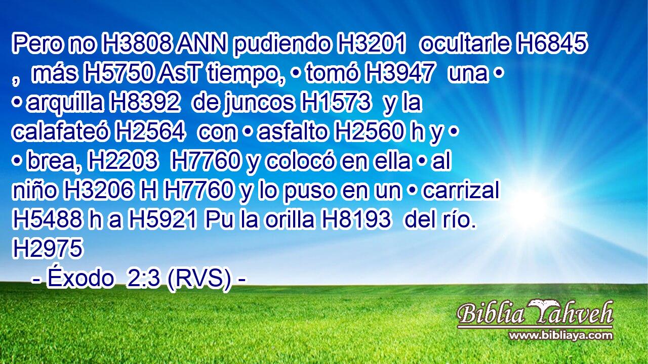 Pero no H3808 ANN pudiendo H3201  ocultarle H6845 ,  más H5750 AsT tiempo, • tomó H3947  una • • arquilla H8392  de juncos H1573  y la calafateó H2564  con • asfalto H2560 h y • • brea, H2203  H7760 y colocó en ella • al niño H3206 H H7760 y lo puso en un • carrizal H5488 h a H5921 Pu la orilla H8193  del río. H2975  
