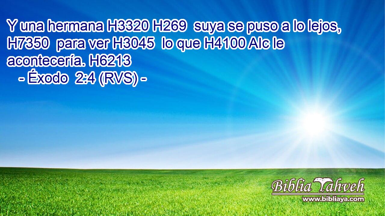 Y una hermana H3320 H269  suya se puso a lo lejos, H7350  para ver H3045  lo que H4100 AIc le acontecería. H6213  