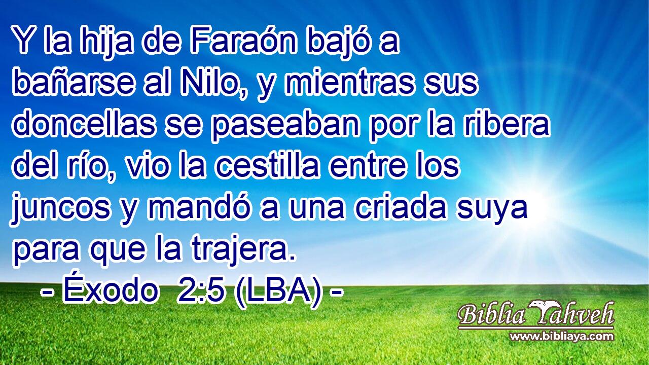 Y la hija de Faraón bajó a bañarse al Nilo, y mientras sus doncellas se paseaban por la ribera del río, vio la cestilla entre los juncos y mandó a una criada suya para que la trajera.