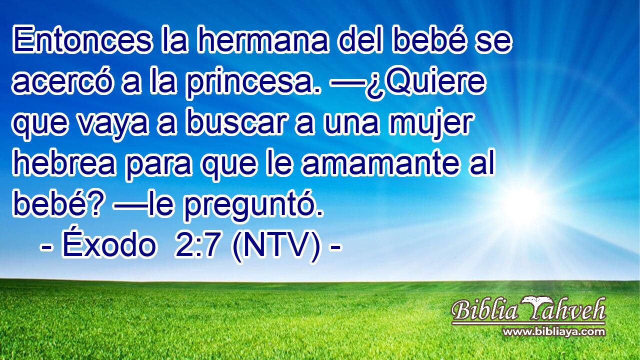 Entonces la hermana del bebé se acercó a la princesa. —¿Quiere que vaya a buscar a una mujer hebrea para que le amamante al bebé? —le preguntó.