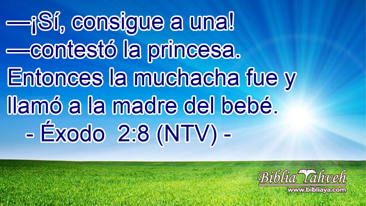 —¡Sí, consigue a una! —contestó la princesa. Entonces la muchacha fue y llamó a la madre del bebé.
