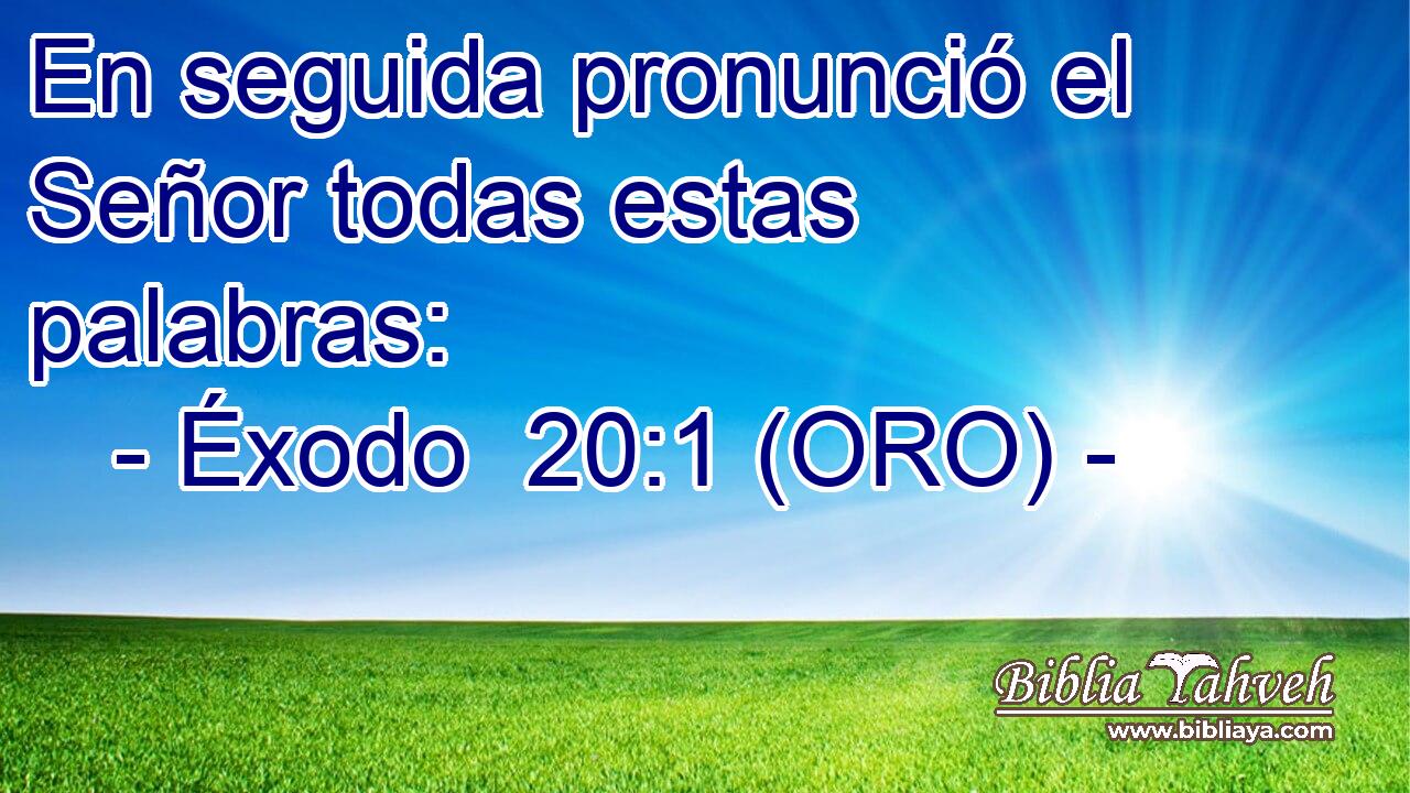  En seguida pronunció el Señor todas estas palabras: 