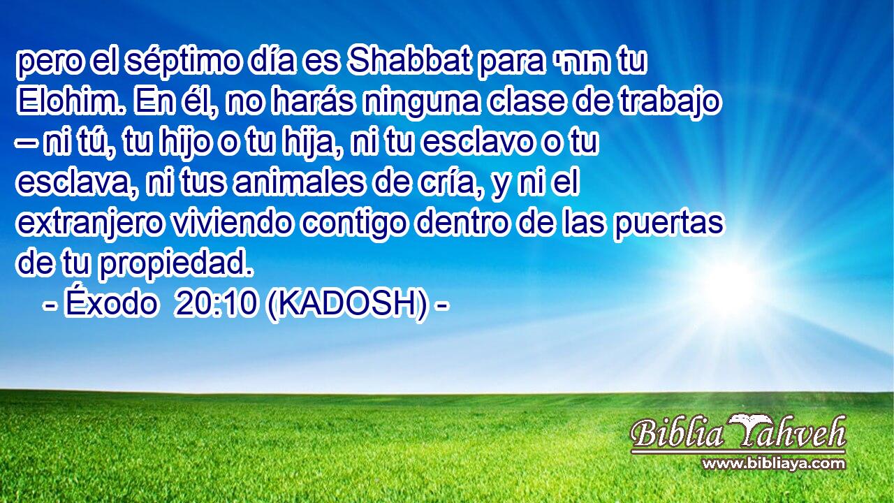  pero el séptimo día es Shabbat para יהוה tu Elohim. En él, no harás ninguna clase de trabajo – ni tú, tu hijo o tu hija, ni tu esclavo o tu esclava, ni tus animales de cría, y ni el extranjero viviendo contigo dentro de las puertas de tu propiedad. 