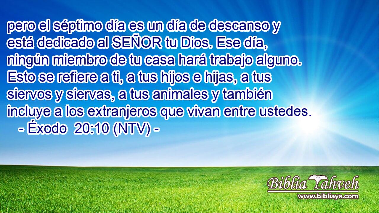 pero el séptimo día es un día de descanso y está dedicado al SEÑOR tu Dios. Ese día, ningún miembro de tu casa hará trabajo alguno. Esto se refiere a ti, a tus hijos e hijas, a tus siervos y siervas, a tus animales y también incluye a los extranjeros que vivan entre ustedes.