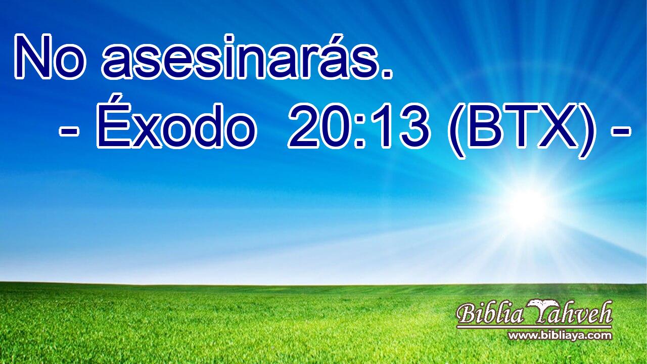 No asesinarás.
