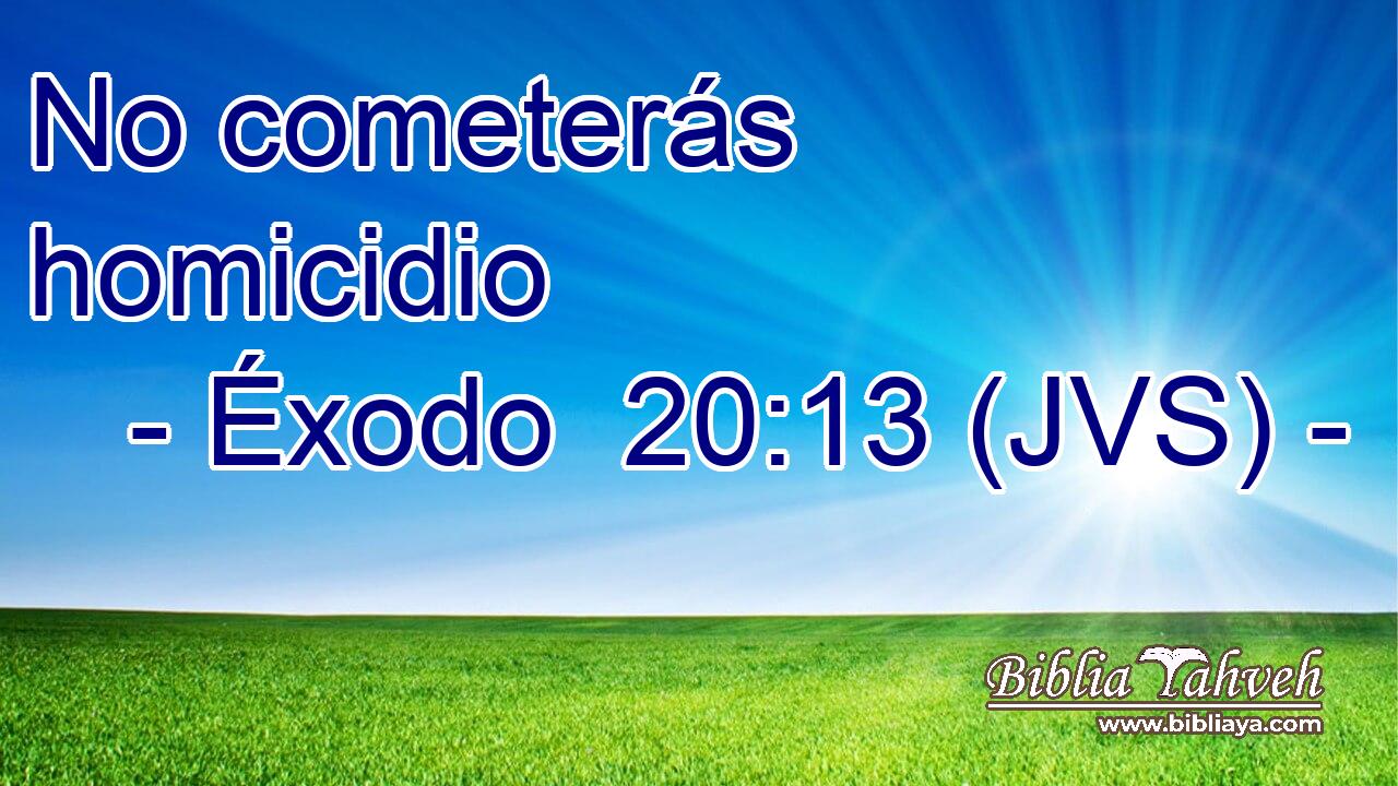 No cometerás homicidio