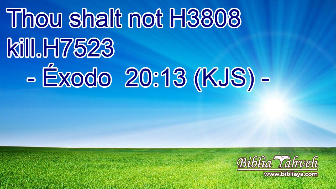 Thou shalt not H3808 kill.H7523