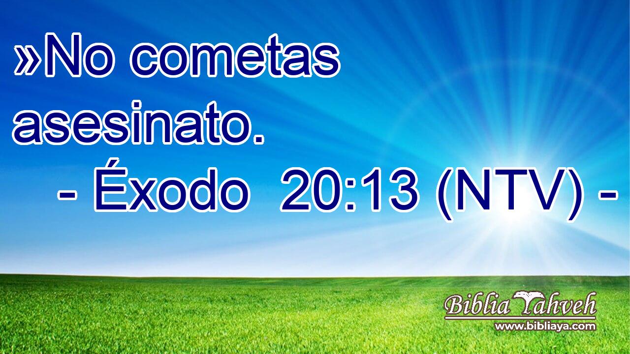 »No cometas asesinato.