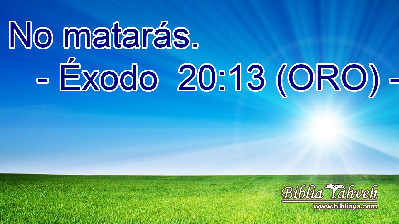  No matarás. 