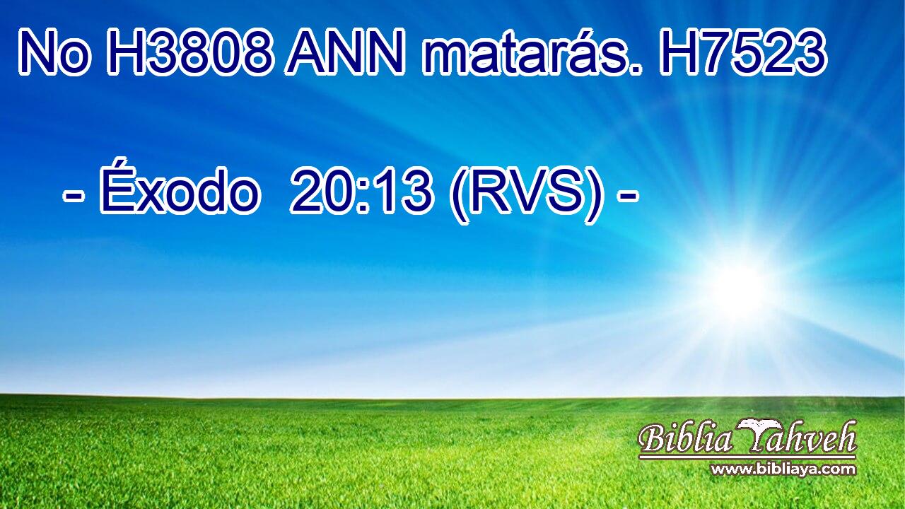 No H3808 ANN matarás. H7523  